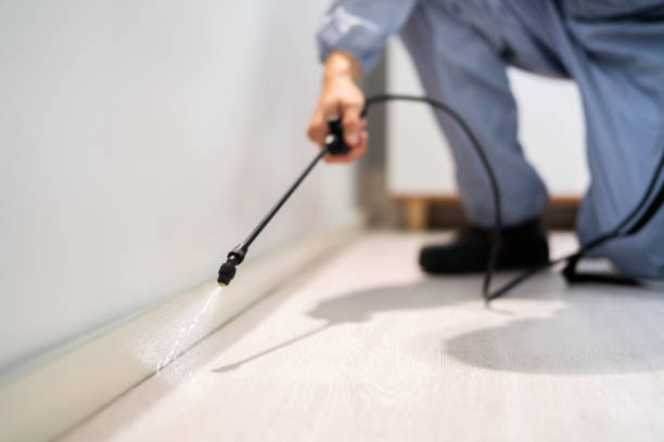 Certified termite inspector examining foundation in West Branch