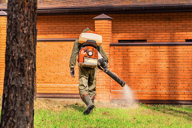 Top rated local Mosquito Control specialists in West Branch, MI